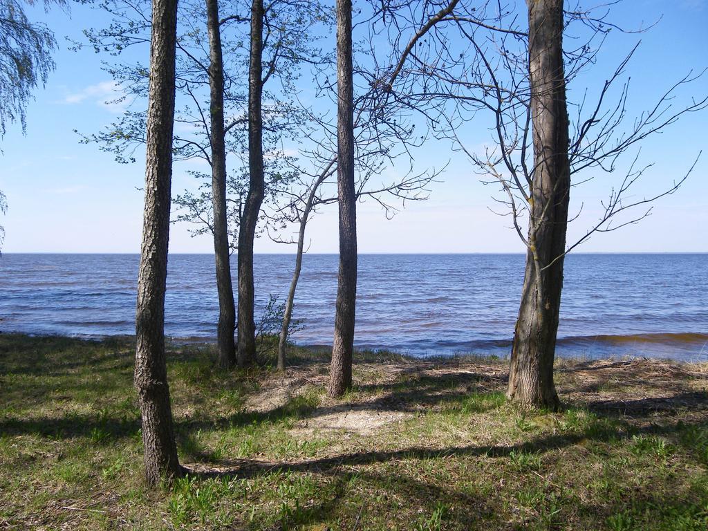 Kiviranna Holiday Home Suure-Rakke Екстериор снимка
